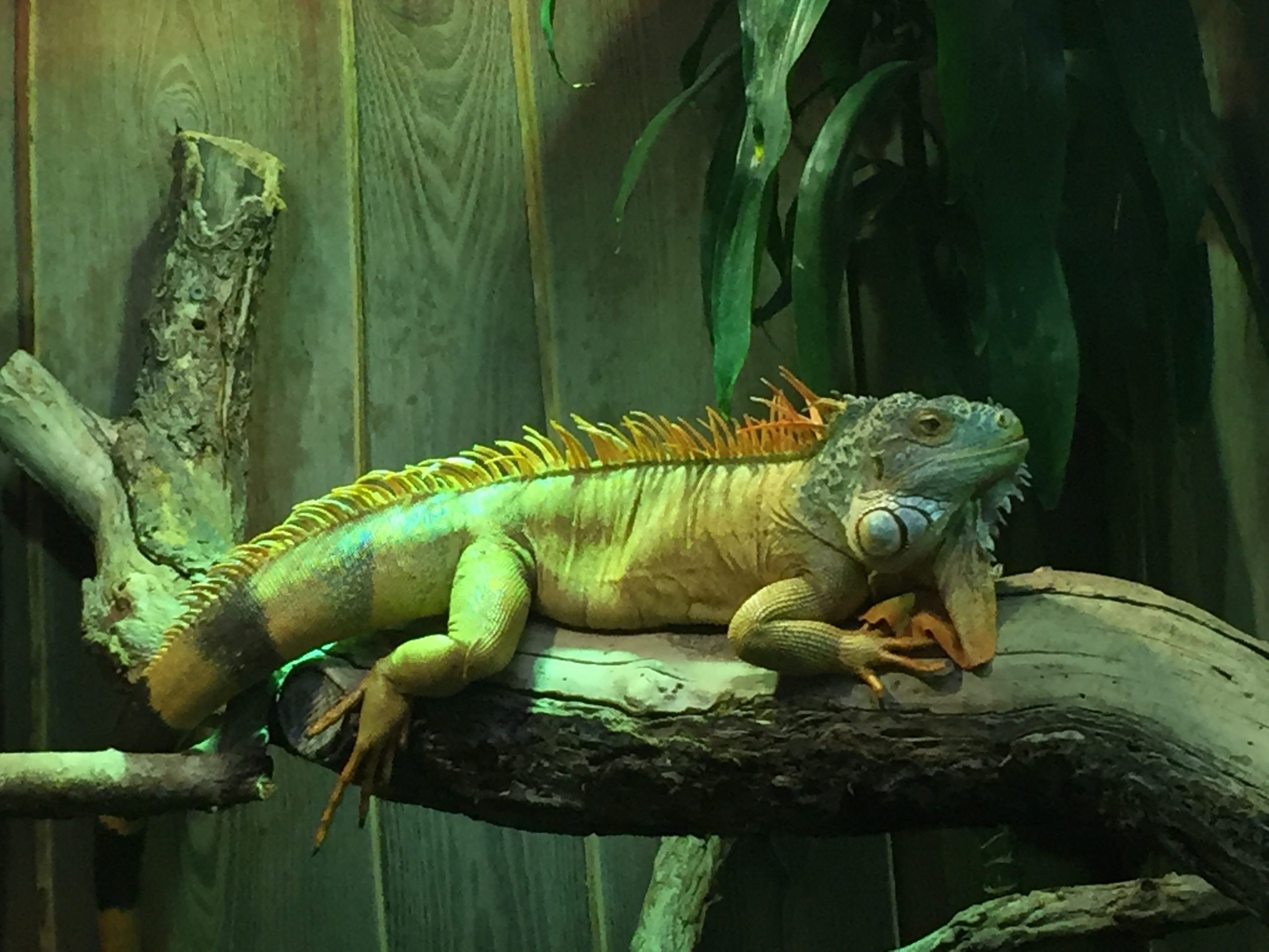 Tierinventur in der Biosphäre