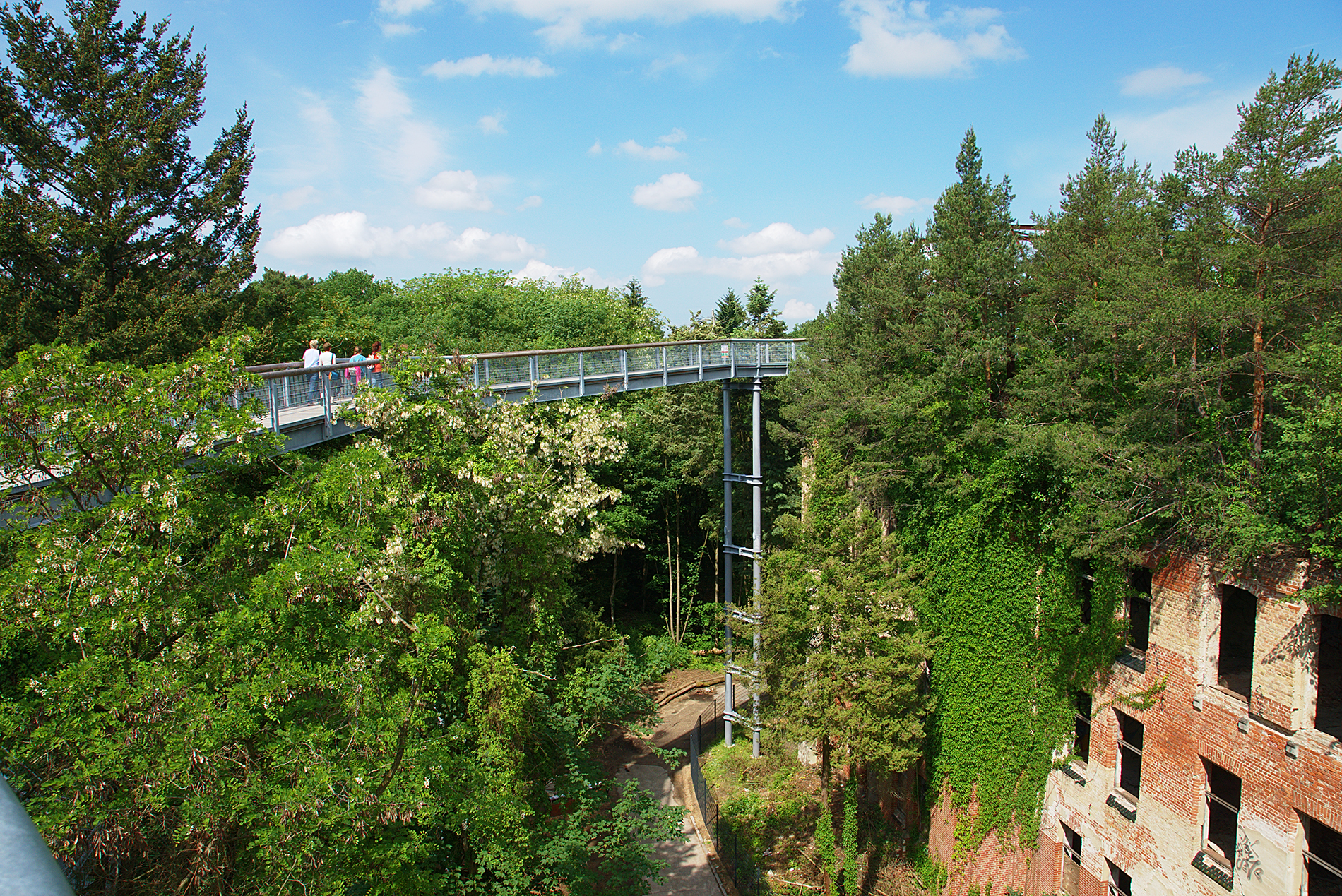 Baum&Zeit Baumkronenpfad Beelitz Heilstaetten Fruehling Ruine Alpenhaus Dachwald & Robinienbluete