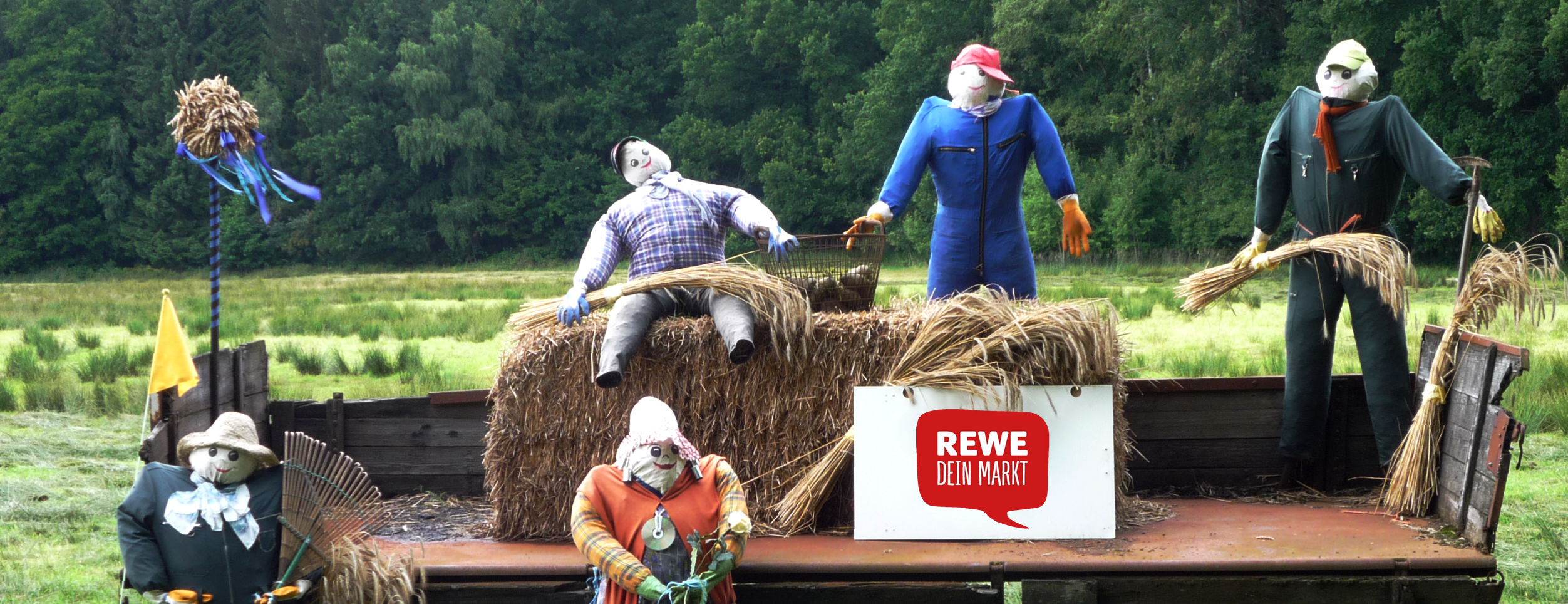 REWE DAVID POHLE