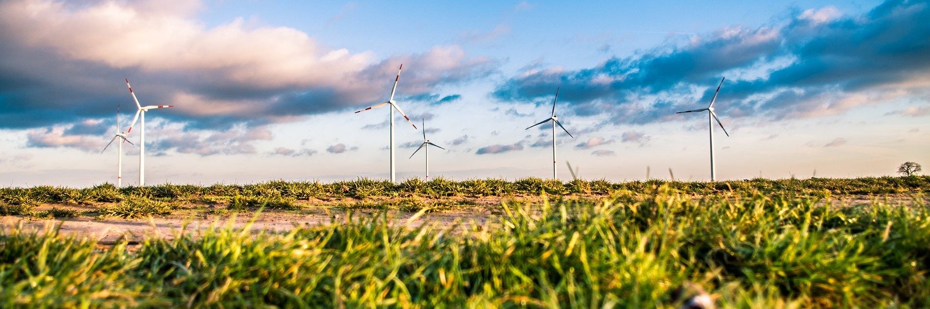 Erneuerbare Energie – Tag 4 der Themenwoche