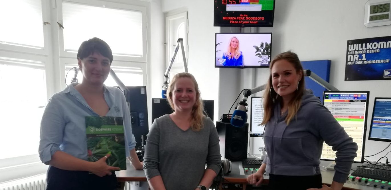 Entspannen in Deutschland: Potsdamer Biosphäre