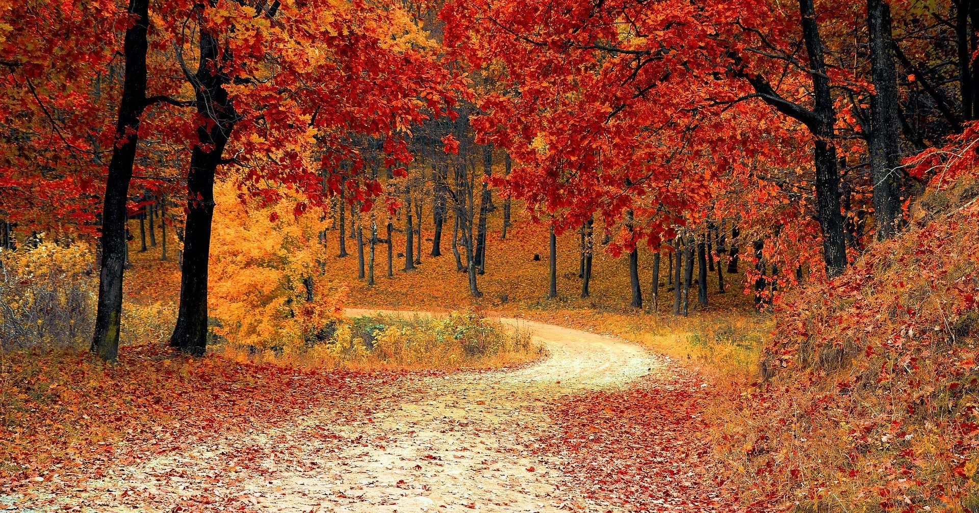 Der Herbst in Potsdam und Umgebung