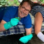 Smyrek arbeitet… bei der Gurkenernte im Spreewald