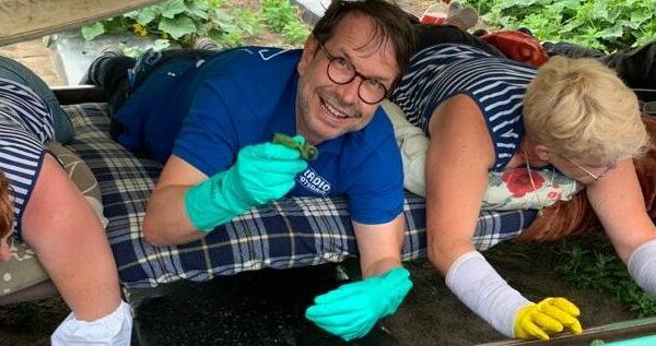 Smyrek arbeitet… bei der Gurkenernte im Spreewald