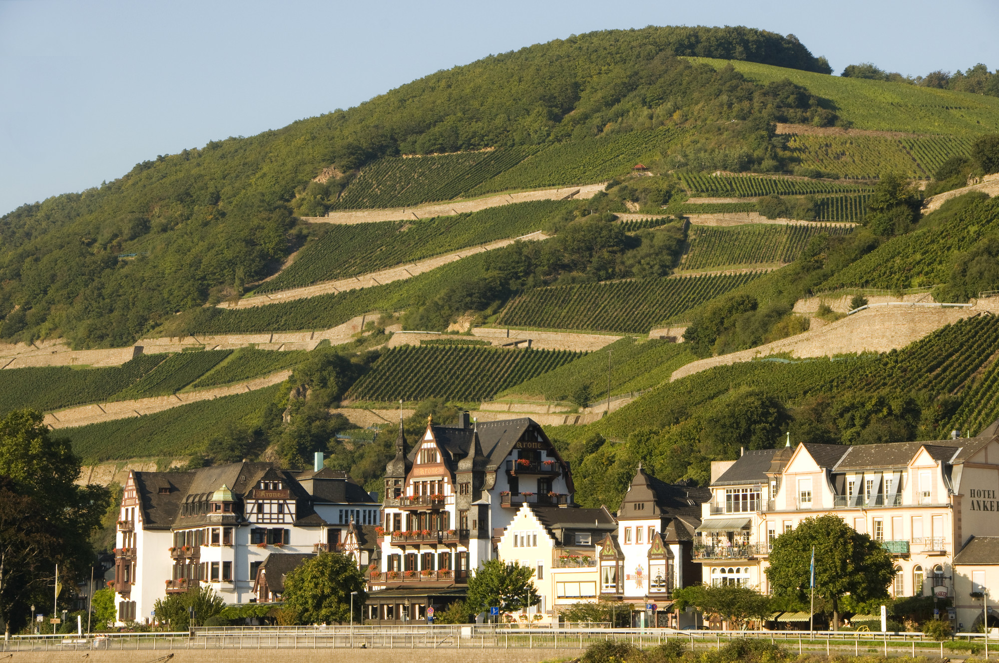 Reisefieber: Assmannshausen