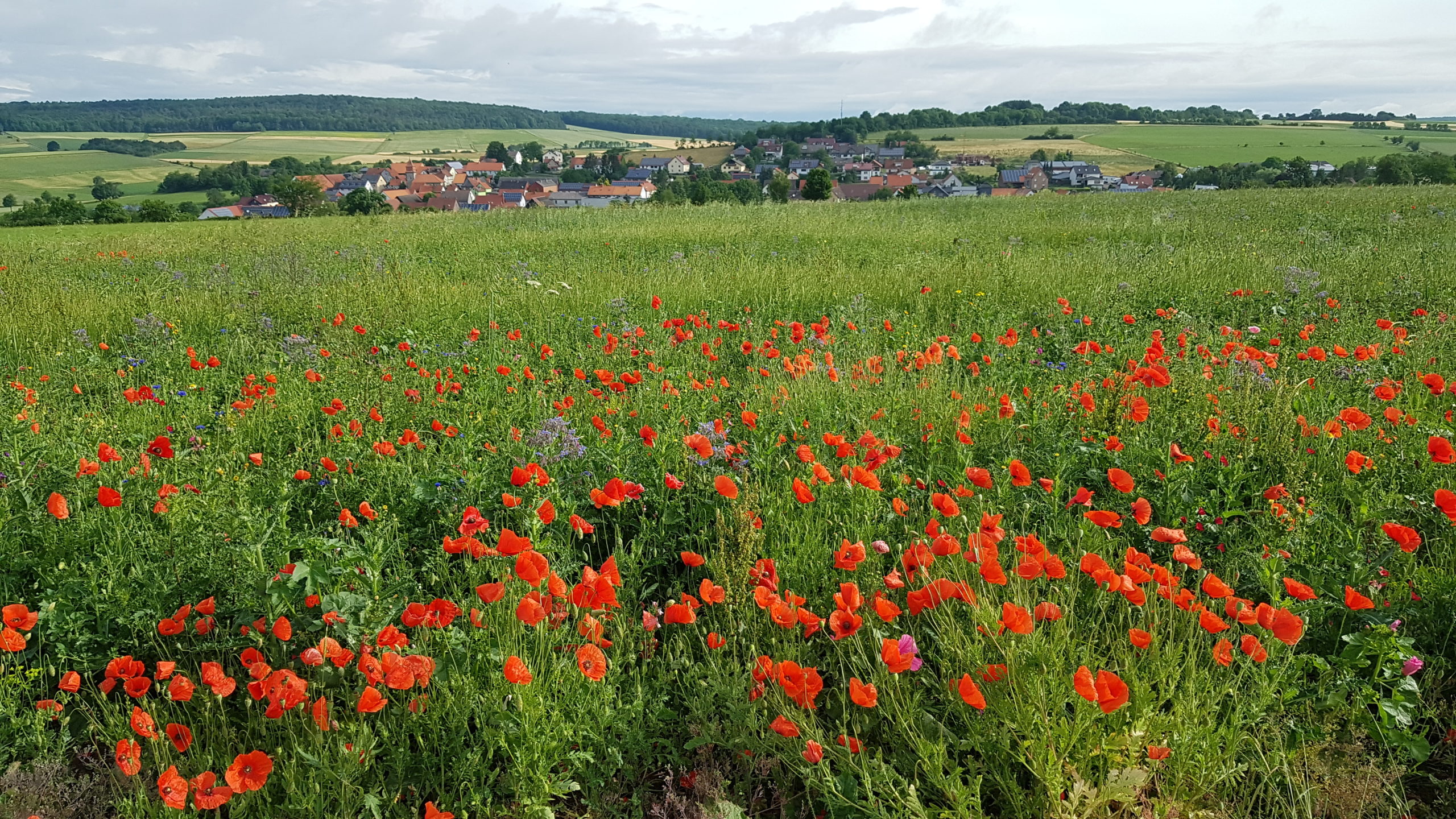 Das Reisefieber in Nordhessen