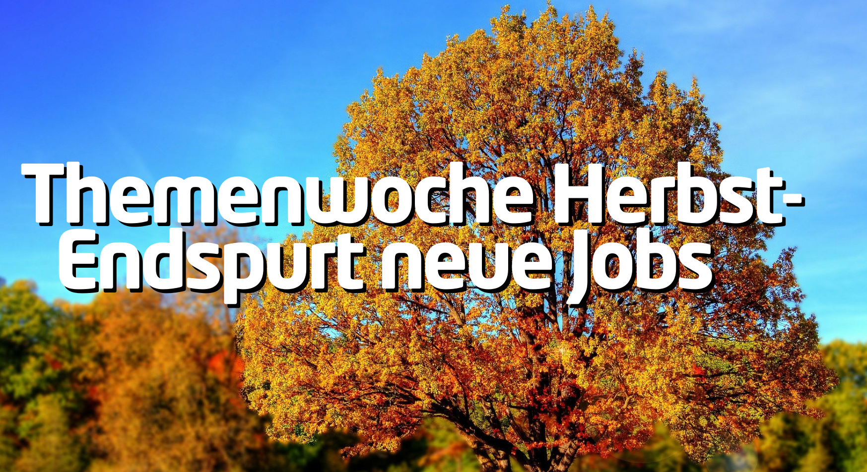 Themenwoche Job Motor 2021