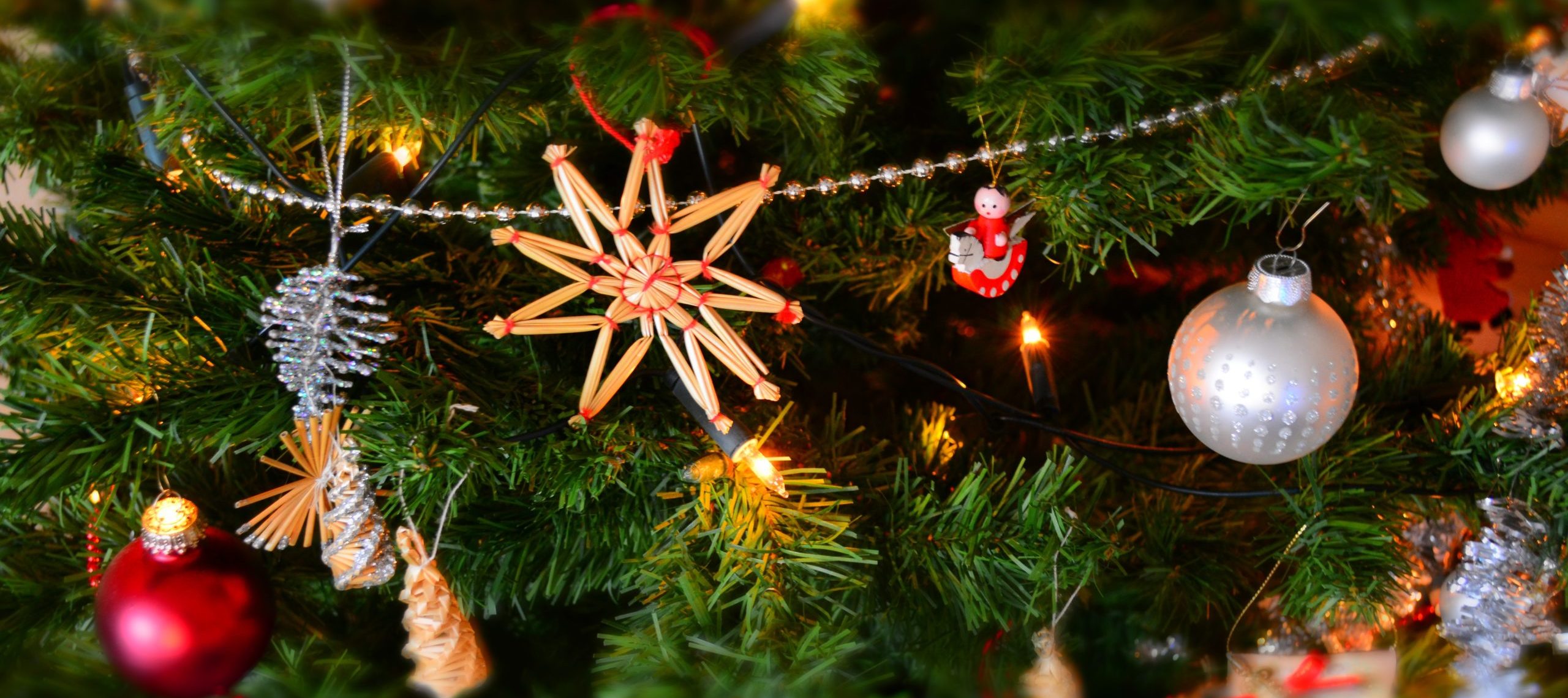 Wir schenken Euch Euren Weihnachtsbaum