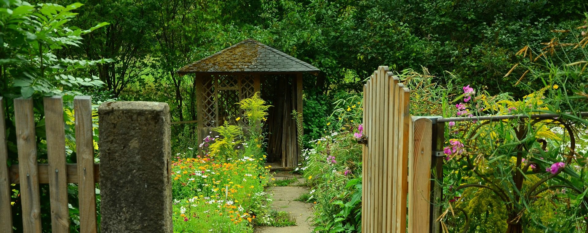 Gartentipp: So bereite ich meinen Garten auf den Frühling vor