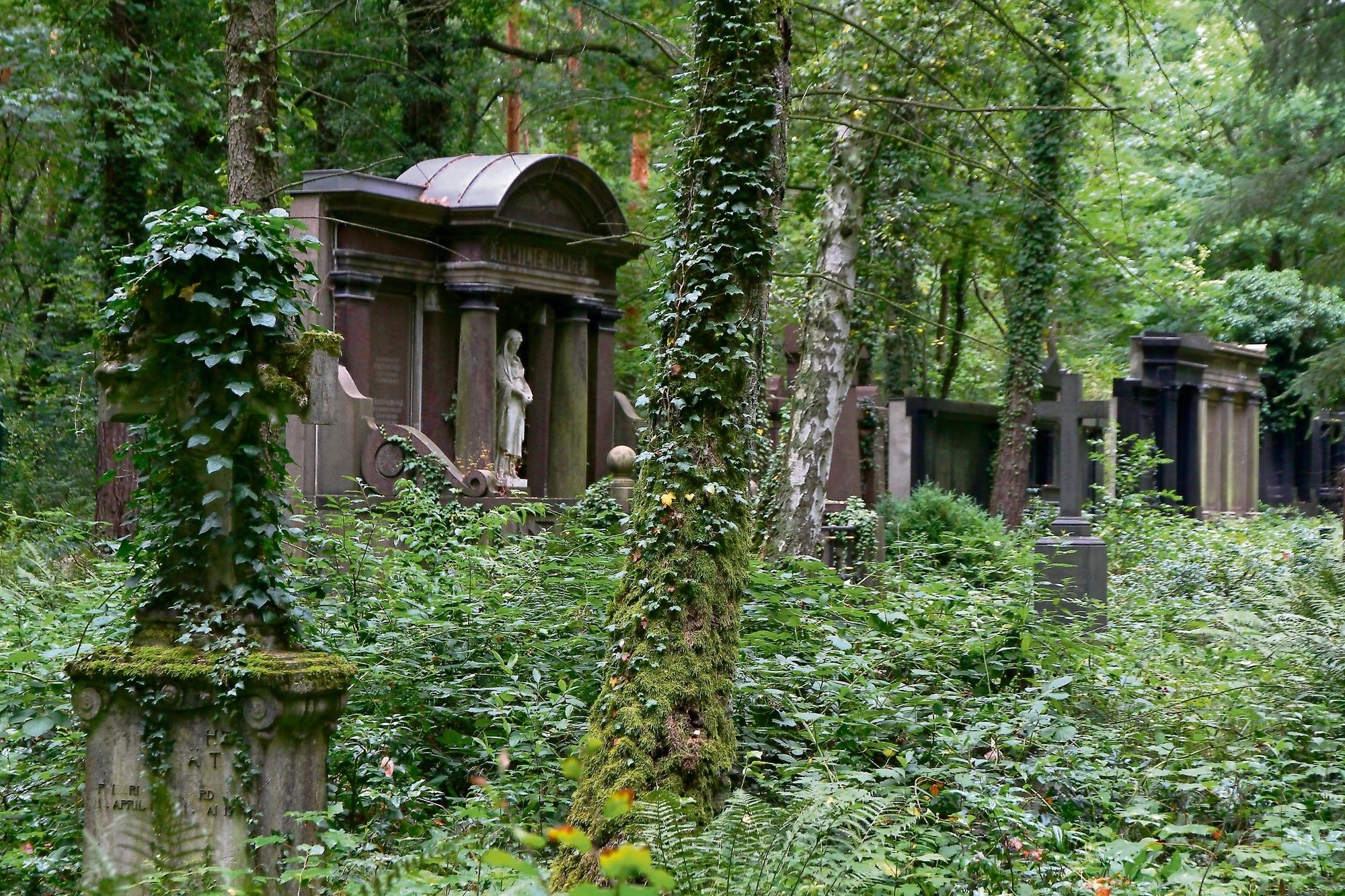 Der Smarte Landcheck: Unterwegs auf dem Stahnsdorfer Waldfriedhof
