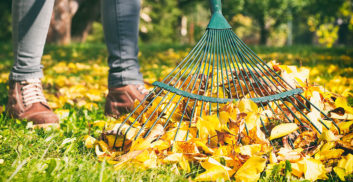 Jetzt gehts los: die Vorbereitungen auf den Herbst beginnen