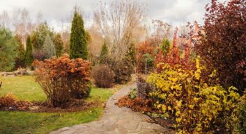 Der Sommer geht – die bunten Herbstpflanzen kommen