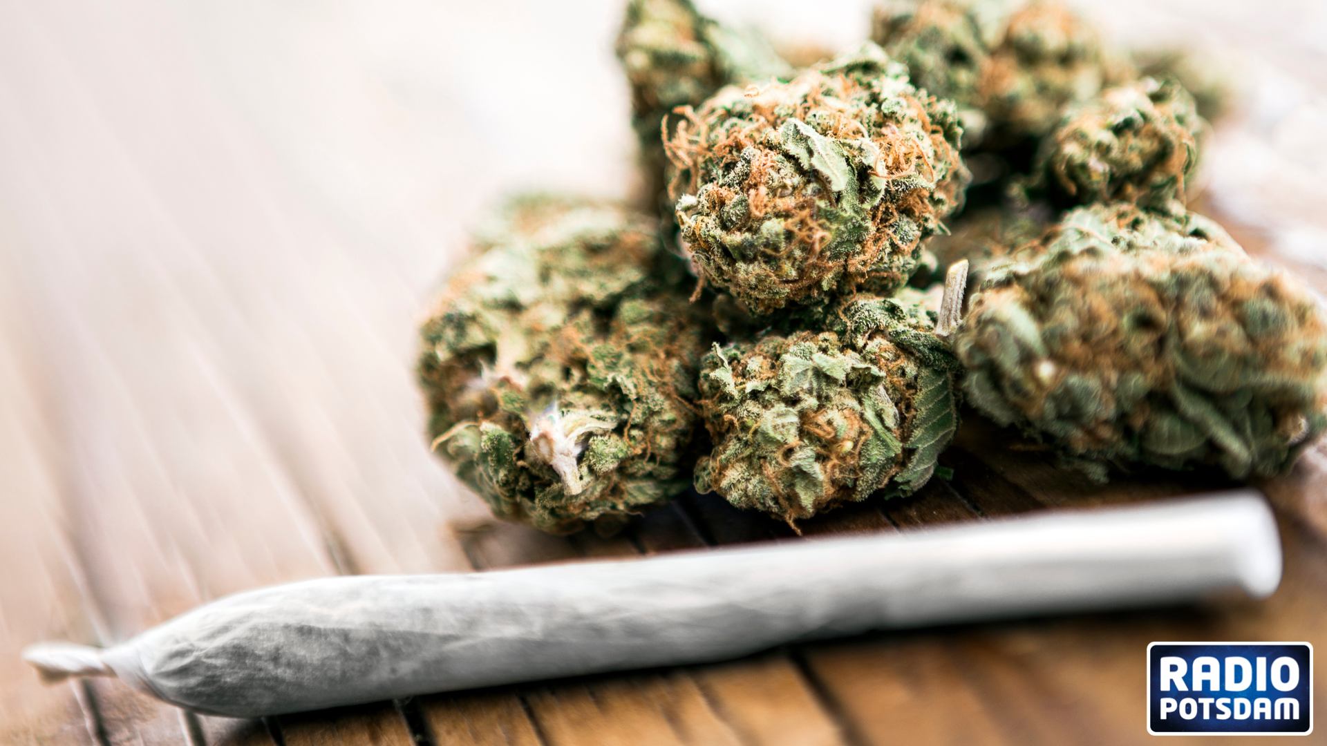 Die Wachermacher: So steht Potsdam zur Gras Legalisierung