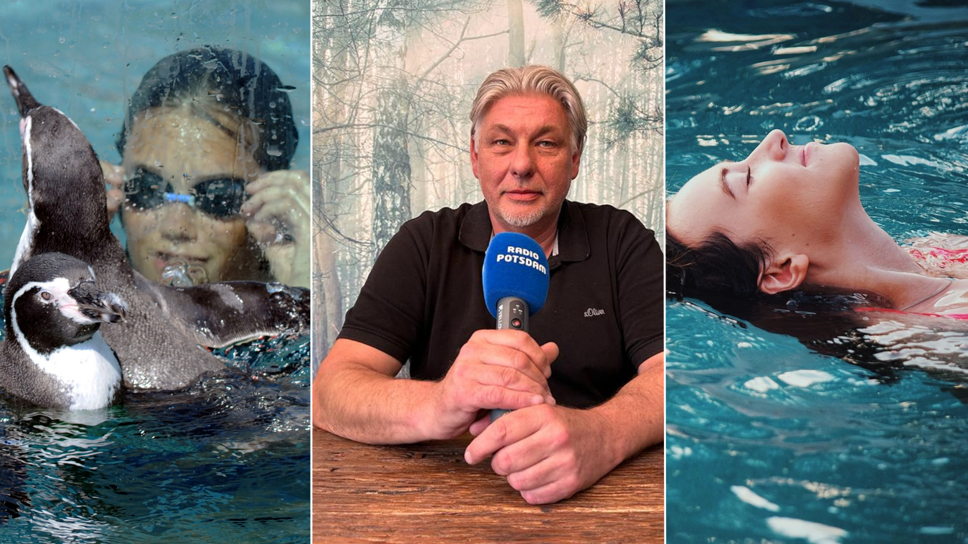 Unsere Osterferientipps für die Region – Themenwoche Freizeitpark und Zoos