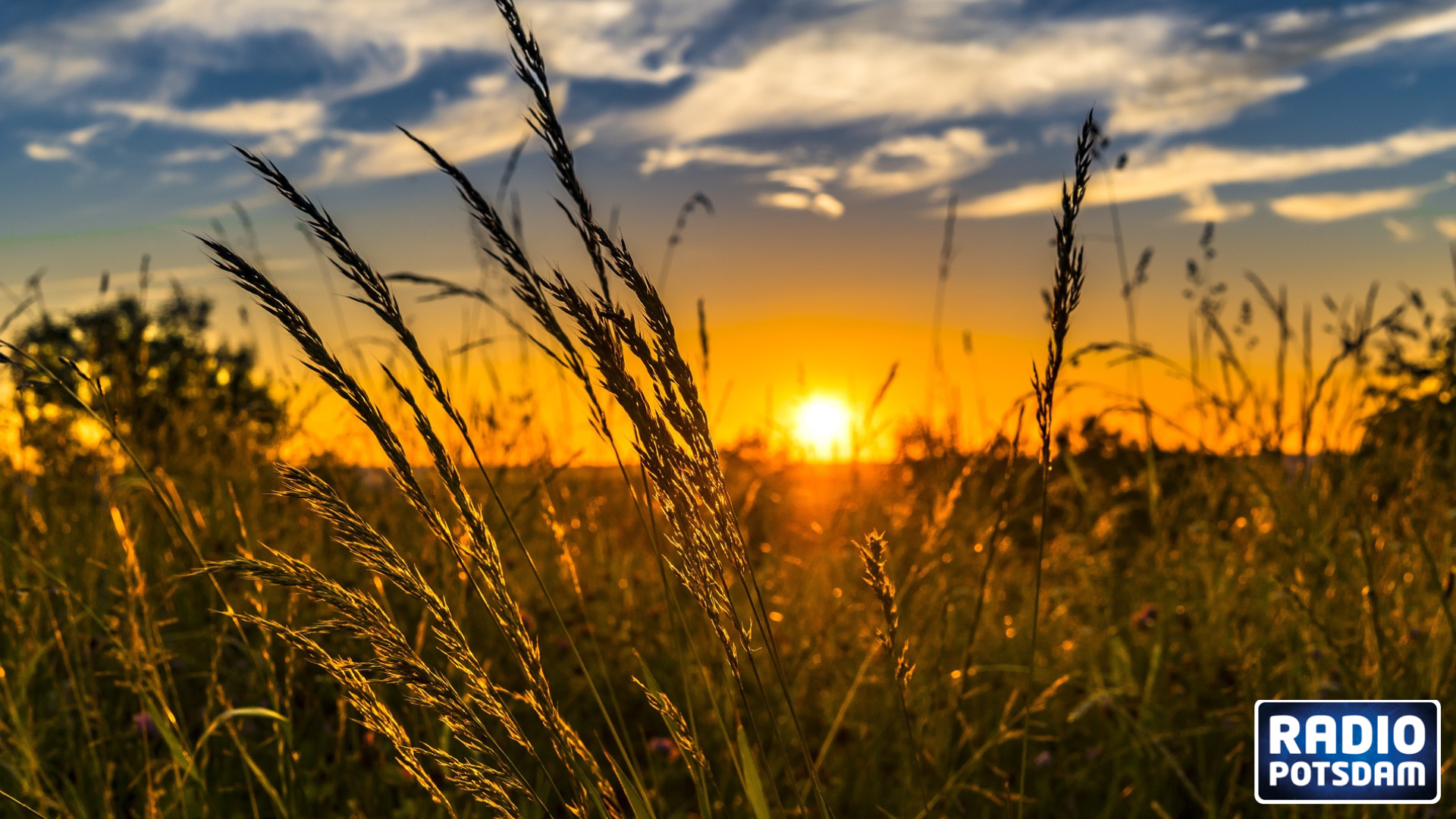 Die pro agro beim Ernährungsgipfel in Rostock