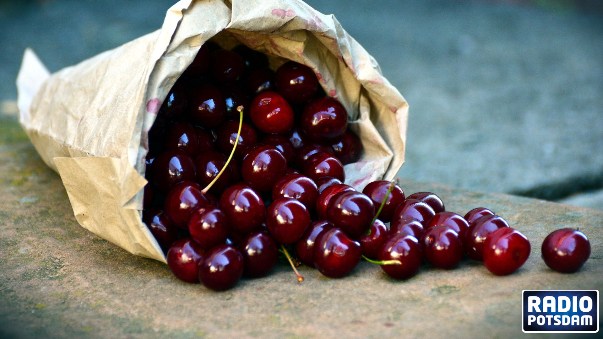 Die Leckerbissen der Saison – Kirschen und Pfifferlinge
