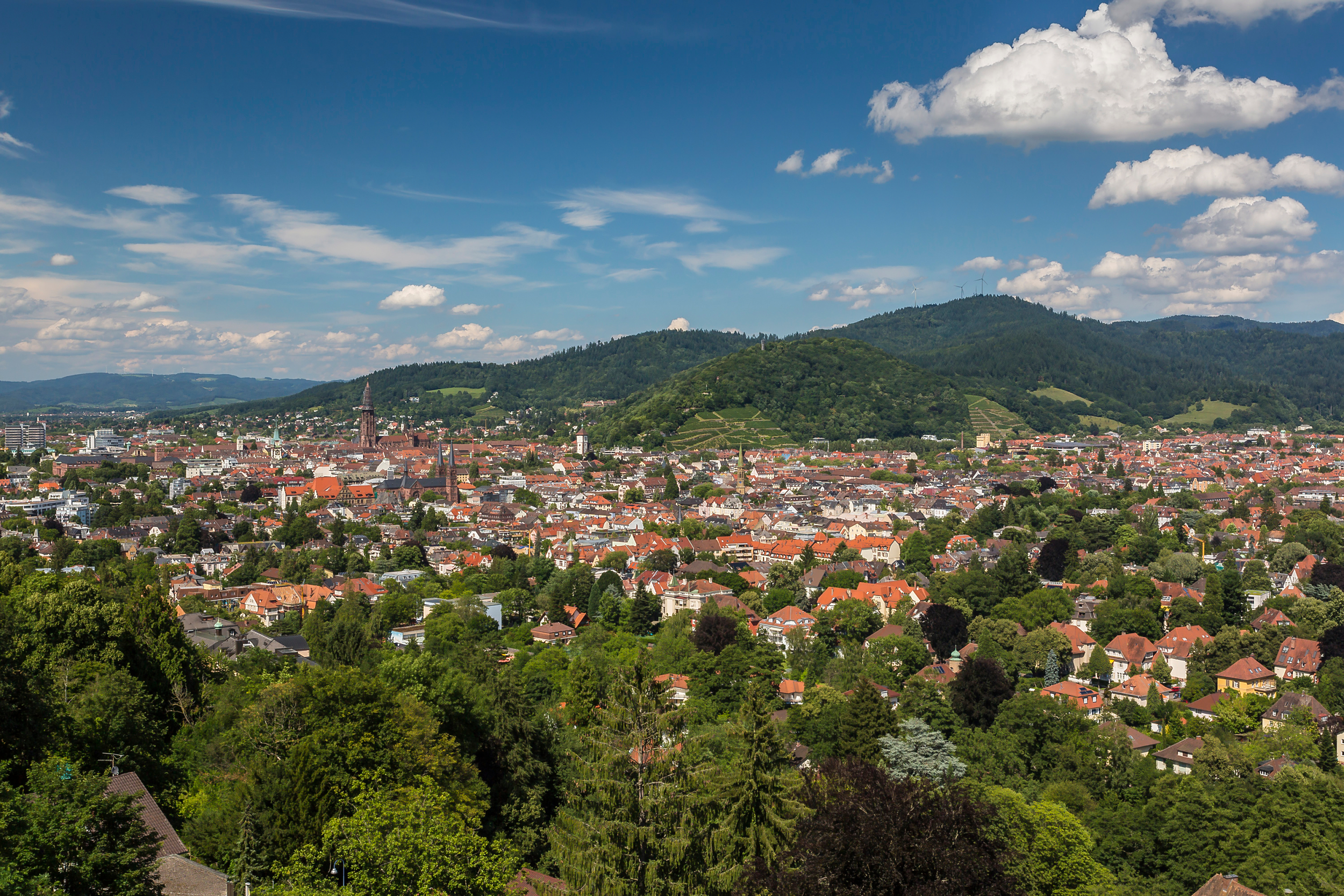 Reisefieber: Freiburg im Breisgau