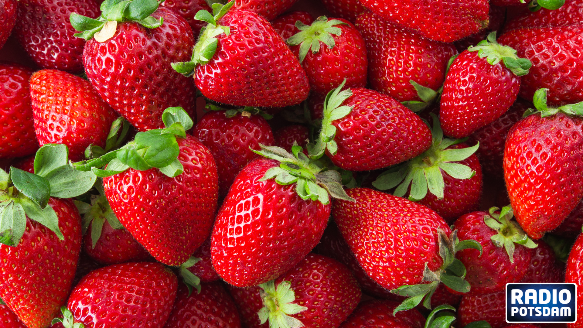 Saisonale Leckereien – Erdbeeren und Spargel aus der Region