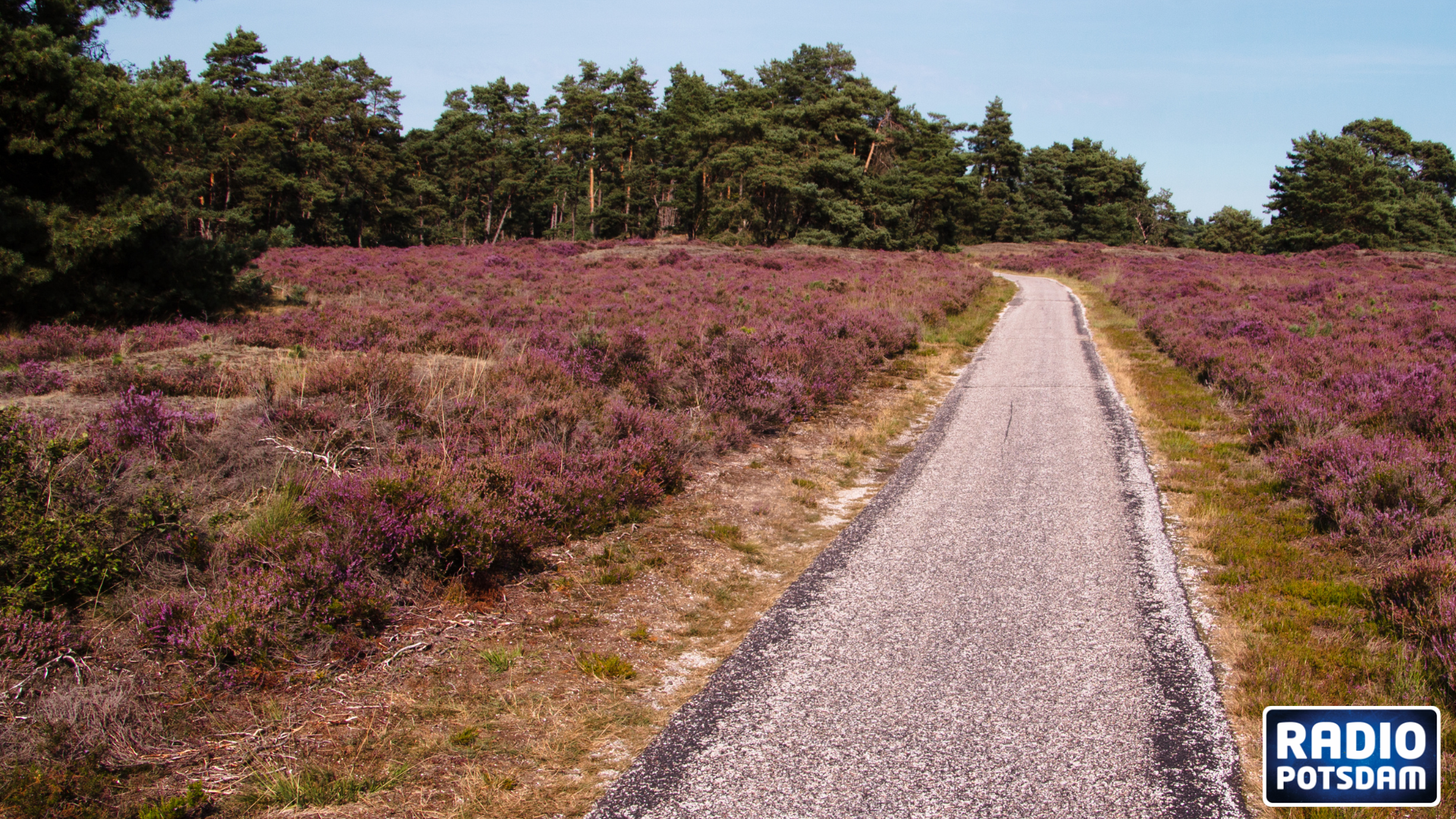 Hirsch, Pony, Flusskrebs & Co: Natur entdecken und erleben in der Döberitzer Heide