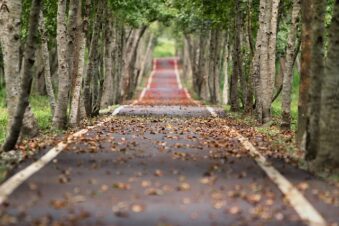 Sicher durch den Herbst kommen: Auf was muss ich im Straßenverkehr achten?