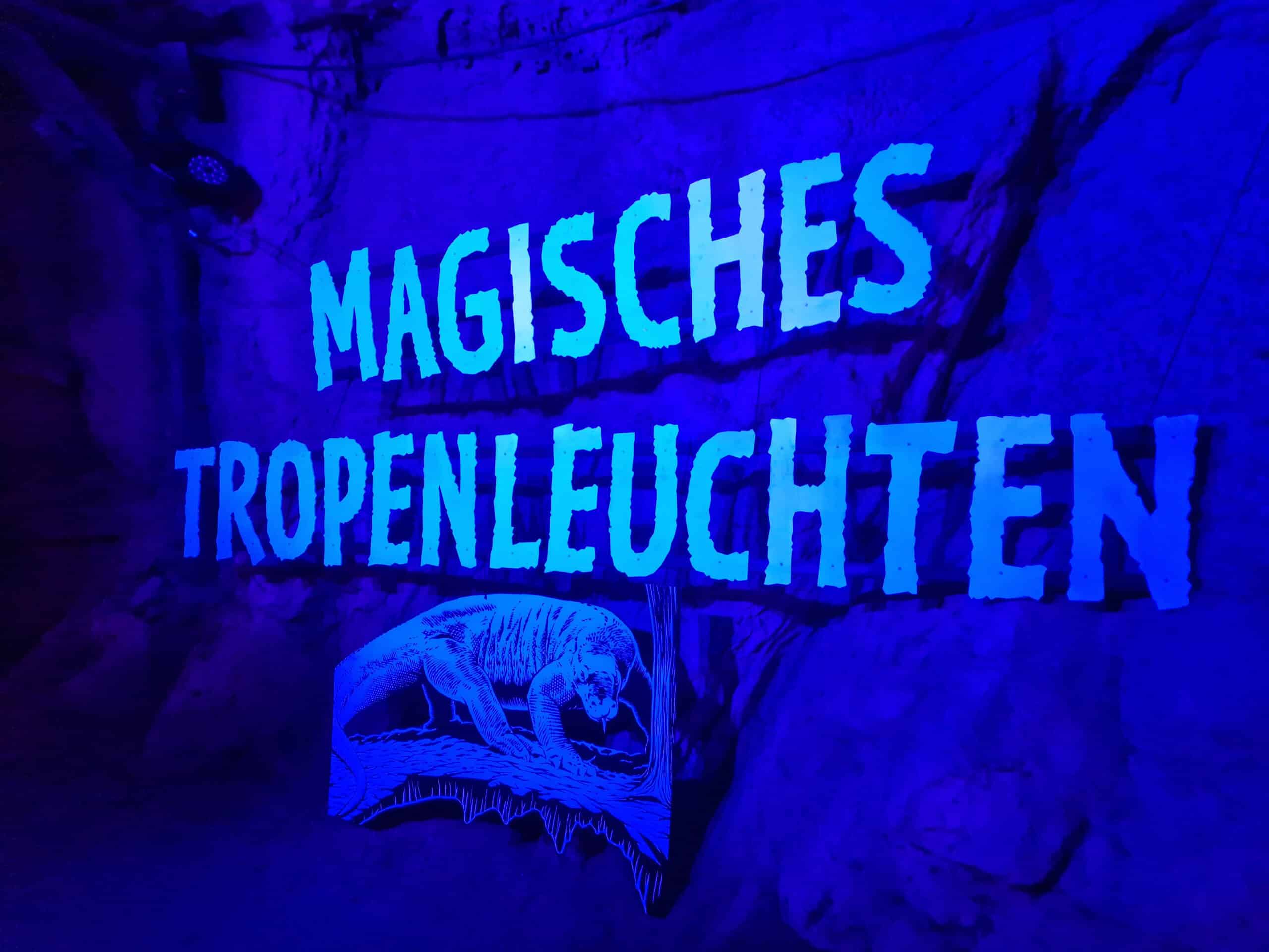 Magisches Tropenleuchten im Zoo Leipzig