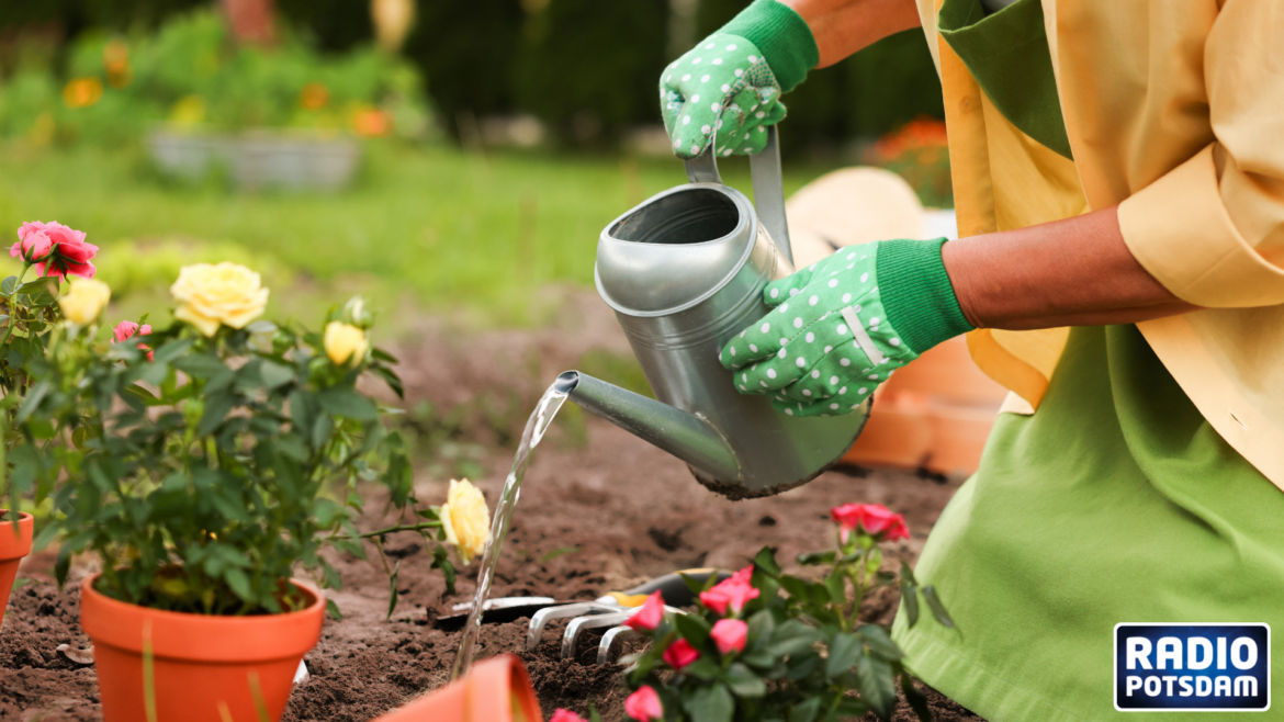 Gartentipp