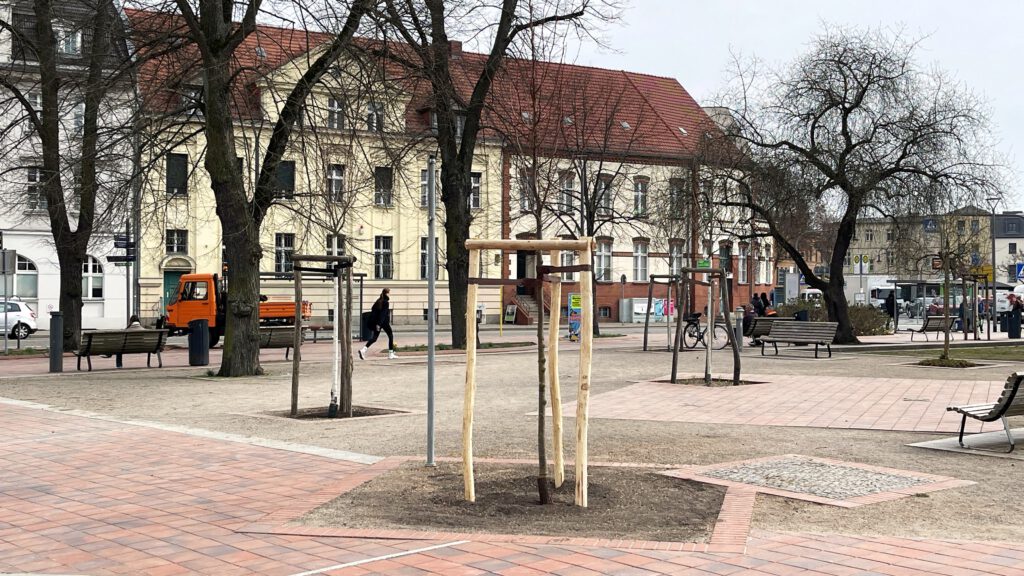 Neue Bäume für Werder