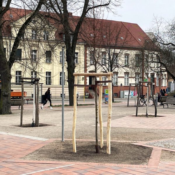 Neue Bäume für Werder