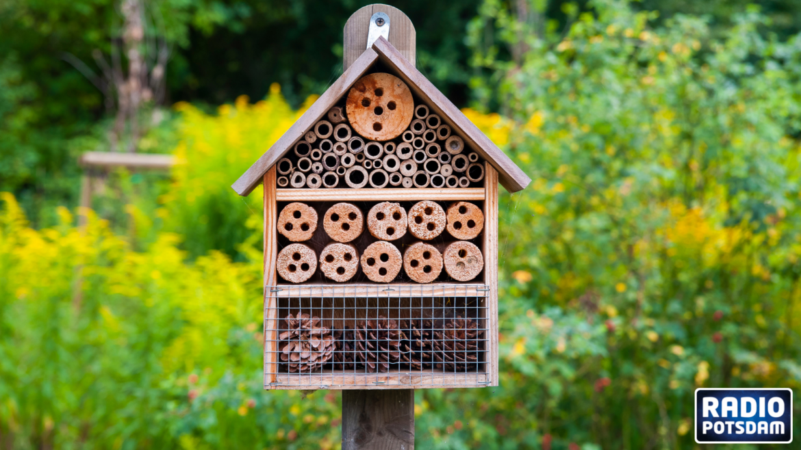 Insektenhotel Kinderzeit