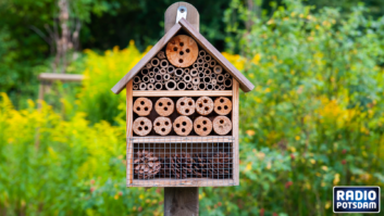 Insektenhotel Kinderzeit