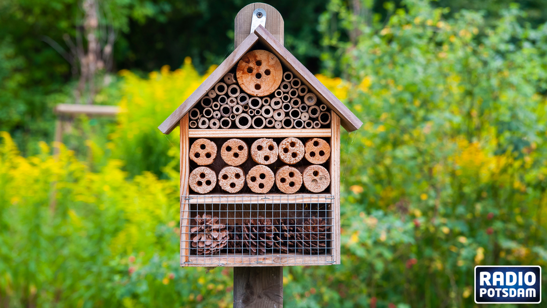 Insektenhotel Kinderzeit
