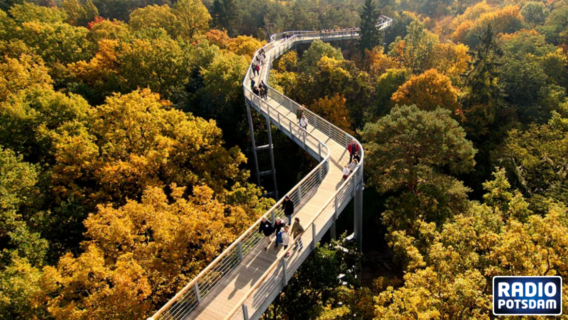 Wandelwelten
