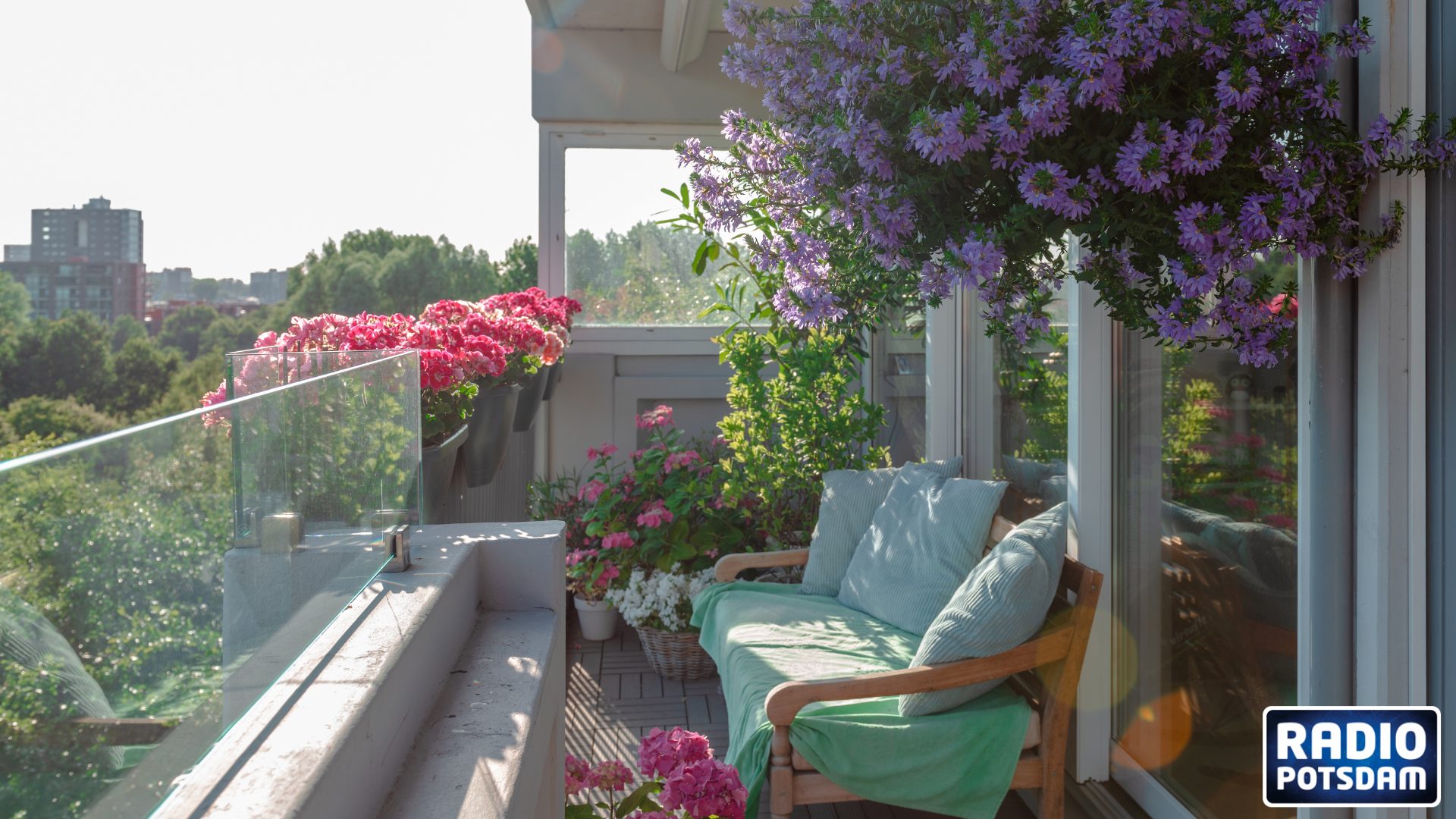 Balkon Pflanzentipp