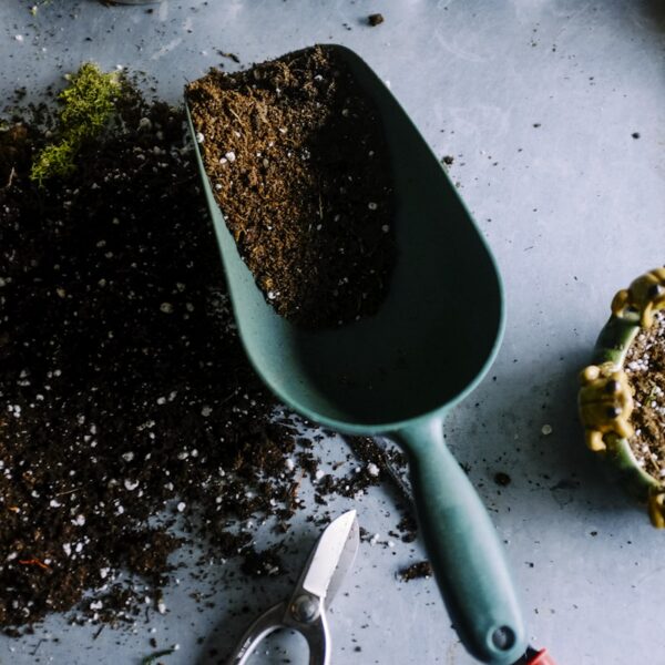 Der Gartentipp