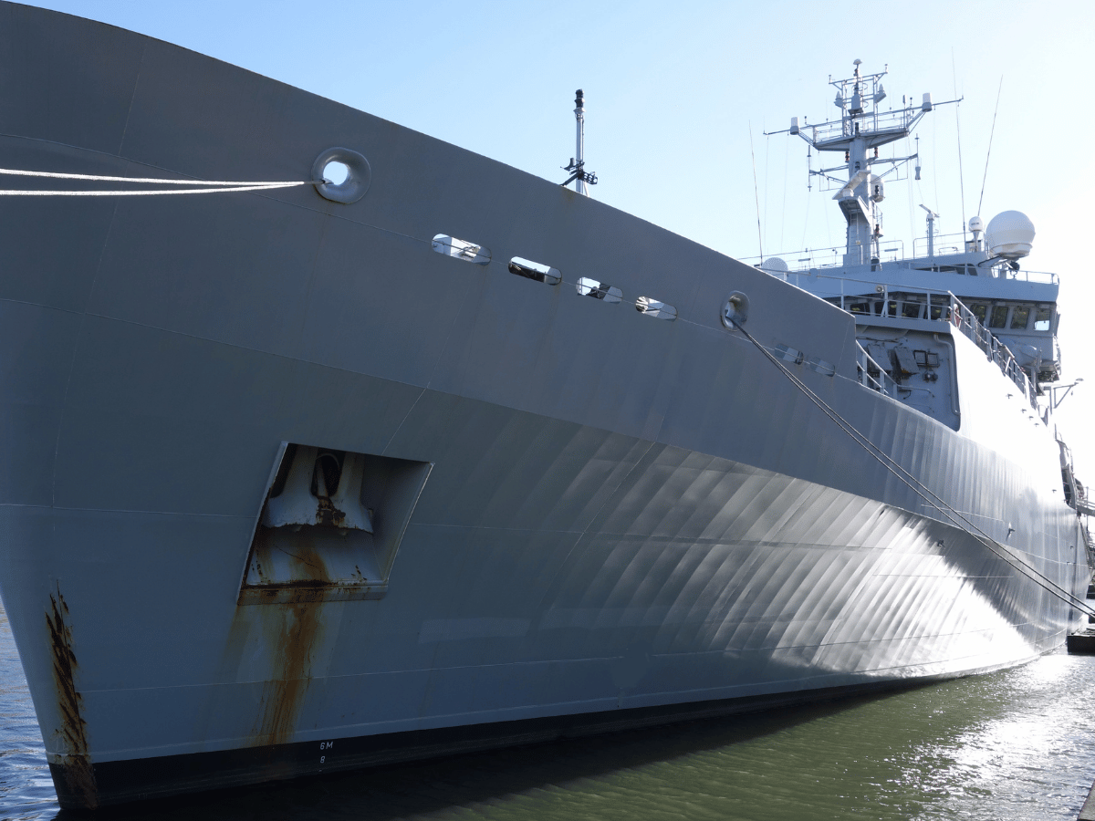 MS Wissenschaft