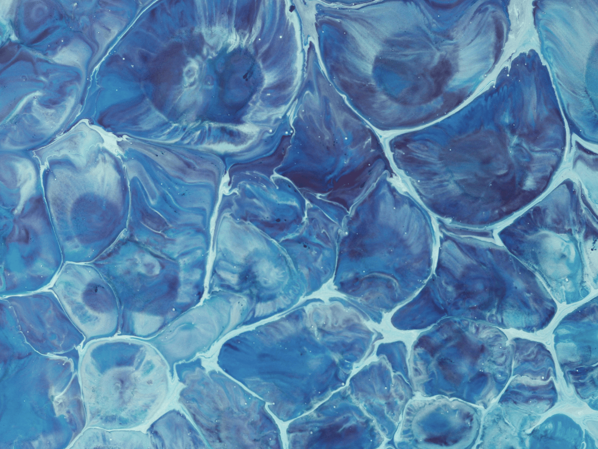 Blue – A Conversation on Collective Osmosis