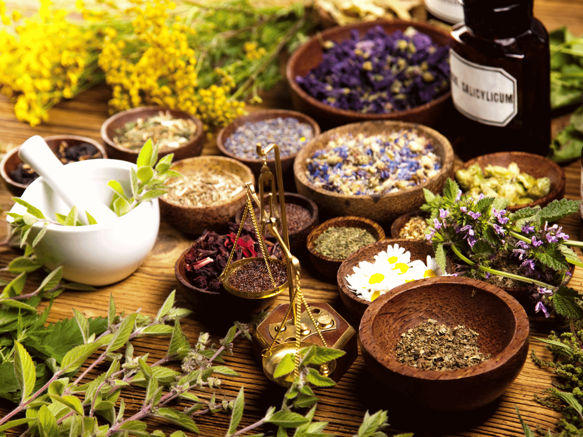 Kräuterworkshop — Hausapotheke im Sommer