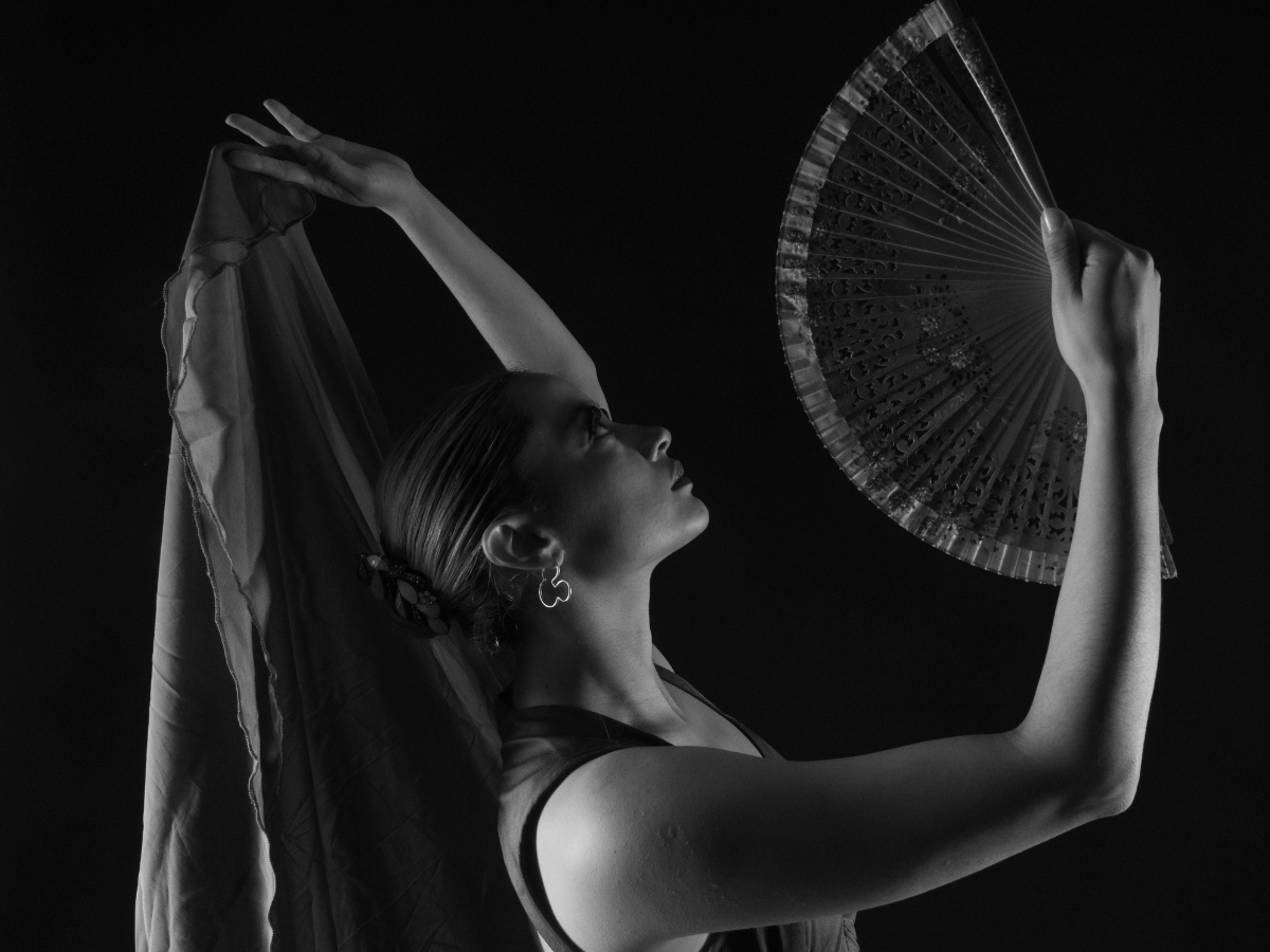 Flamenco Afición