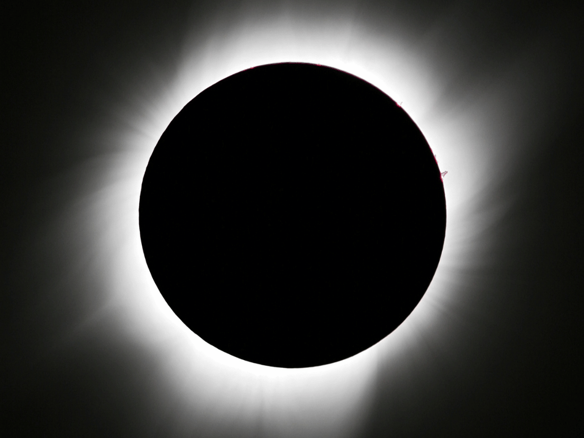 Sonnenfinsternis und Perseiden: Sternennacht auf der Habichtwiese in Potsdam