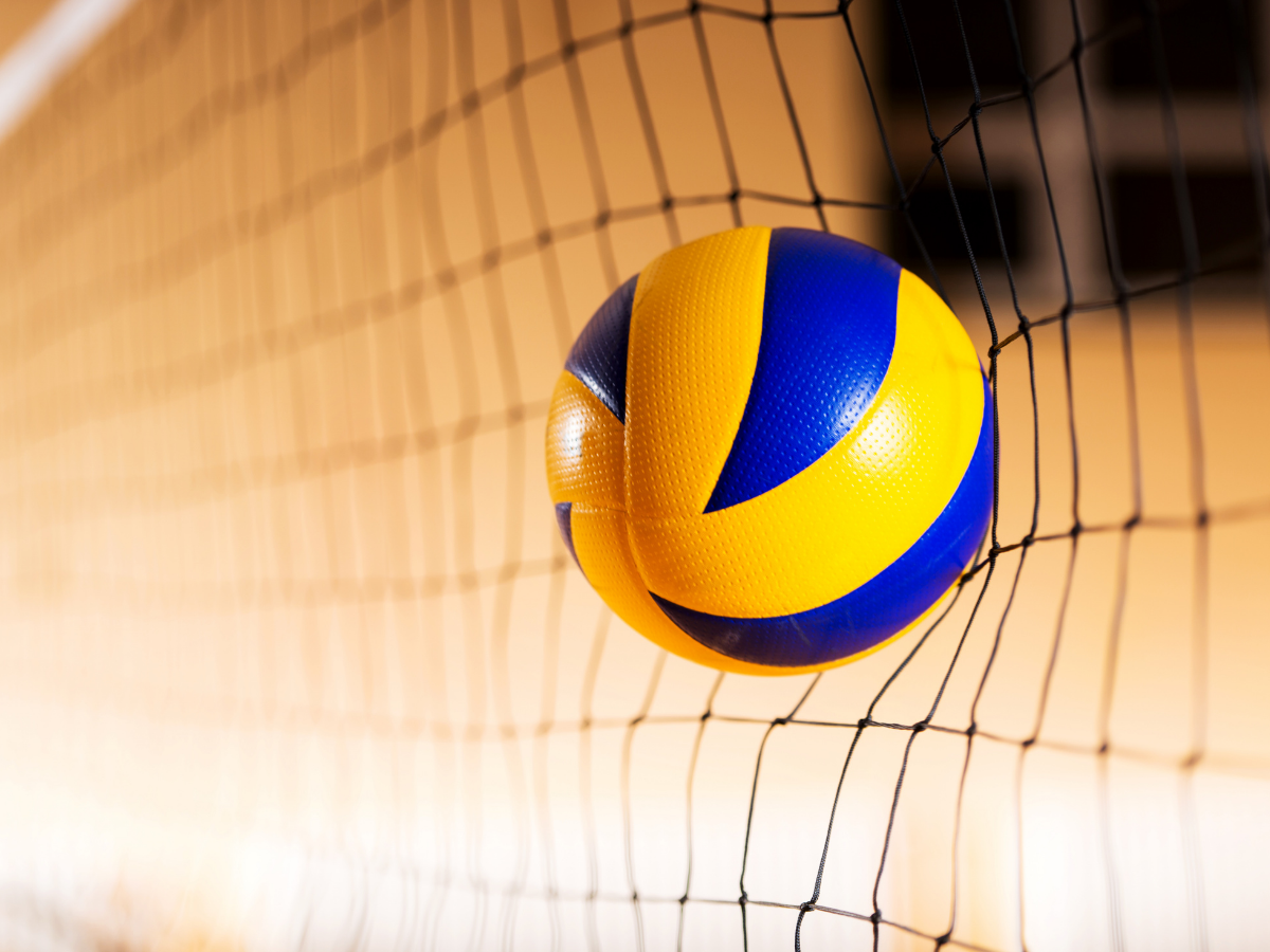 Volleyball-Länderspiel: Deutschland vs Niederlande