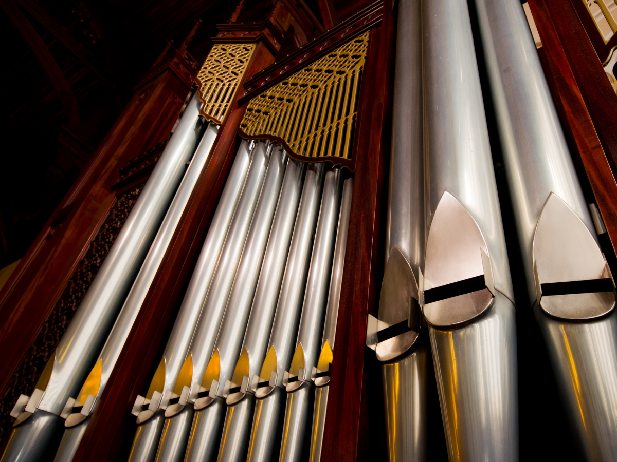„Pareidolie“ Konzert von Akkordeon und Orgel im Domstift Brandenburg
