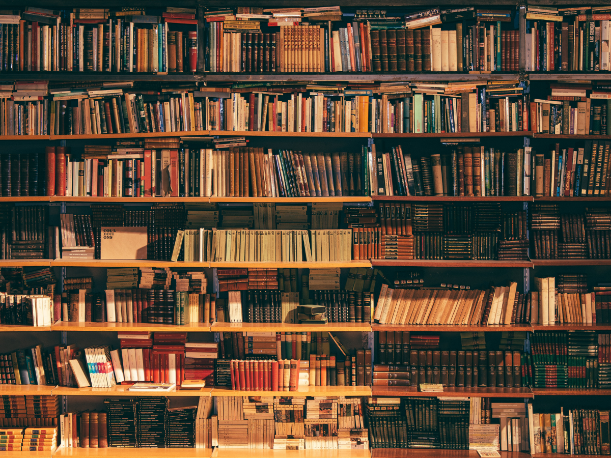 Künstliche Intelligenz in der Stadt- und Landesbibliothek